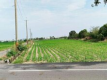 鹽水區低總價農地(近仁光國小)