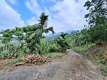 竹崎覆鐤金段有景大筆農地