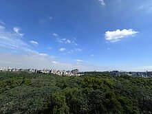 阿云優質推薦🌸櫻花旭🌸全新四房車