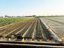 將軍漚汪便宜農地B(近西和社區)