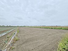 台南佳里蚶寮段1.9分方正美農地