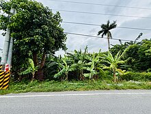 吉安東海都內小農地