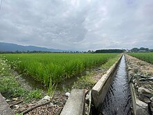 壽豐清幽足坪農地