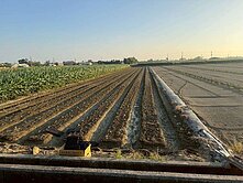 🍎小資愛農地✧近漚汪社區\售175萬 /可農保