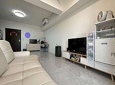 多城市II｜84期重劃區｜免裝潢1+1房平車