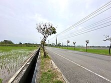東山田尾大面寬農地