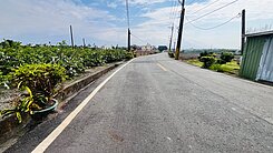 高樹臨8米道路面寬漂亮農地