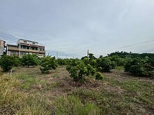 超低總價🌳方正農牧用地🌳享受快樂農場