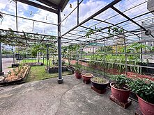 五結生活圈 近五結國中大地坪農舍