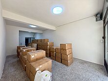 🔰東區全新整理活路透天