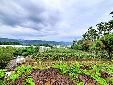 ★栓★快樂農場價可談★南投竹山延平國小旁千坪農地