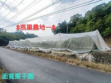 燕巢近高應大#三面臨路#棗子園+番石榴園農地(一)