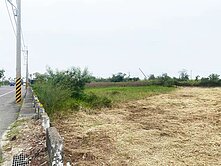 港明高中大路邊農地