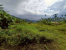 屏東高樹大津瀑布漂亮農地