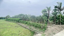 桃園平鎮福林段-農地