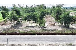 西港2.6分農地  等你來打造開心農場