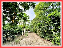 高雄市彌陀區近台17線一般農業區漂亮農地