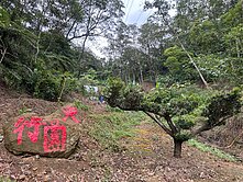 258三峽休閒渡假林地