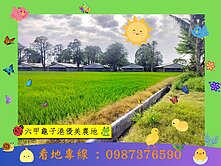 六甲龜子港優美農地