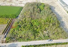 芳苑草漢路美田