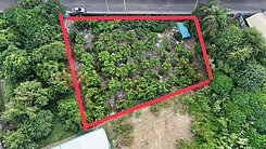 專-員林近員集路快樂農場