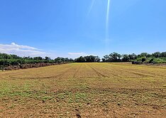 卓蘭花露農場旁優質美田