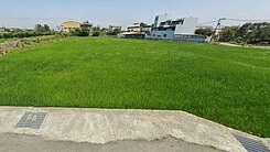 苗栗後龍臨路大面寬農地