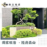 麻吉獨家🦾陸府森山│都市心臟✨帝王向三房平車