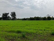 104草漯重劃區旁一般農