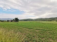 滿州#小墾丁旁渡假休憩臨路超值美農地