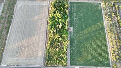 誠可議🔥近大全聯近子龍國小有水有電臨4米路農地