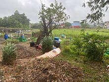 楊梅甡甡路都內農+建地