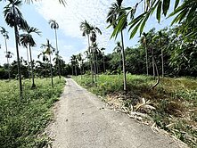 近梅山鬧區都計內三分農地