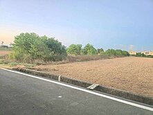 觀音向陽農場旁農地