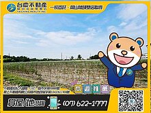 岡山嘉新高潛力增值農地#近岡山未來第二交流道