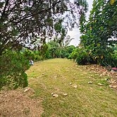 國道八新化出口絕美段農地~思思推薦