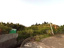 專約～大園中華路美農地