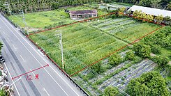 ✨內埔東片段臨12米路方正農地✨