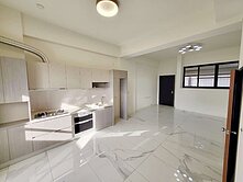 安南九份子輕屋齡傳統雙車墅