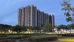 清景麟森林公園機場首排｜高樓層無敵景觀三房平車