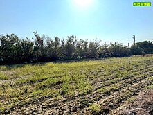 安南區安中路正路面60米大面寬潛力無限都計內農地