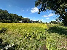 103大溪近英業達大面寬一般農