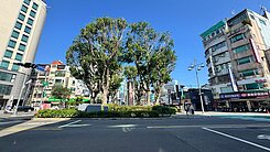 萬坪公園溫馨4房居-台灣房屋新莊幸福林麗如