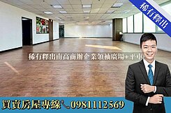 稀有釋出南高商辦企業領袖廣場+平車