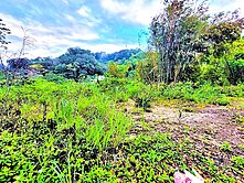 橫山【合興車站】台三線旁很便宜的小塊地