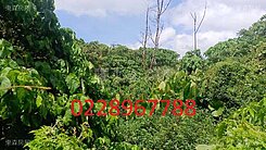 ❤️淡水下圭柔山土地~洽0228967788