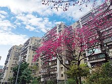 ❣️賣厝明明❣️未來廈安站青年公園旁方正一樓