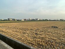 土/廠27六甲-港子頭庄內好機能退休快樂農場🐓