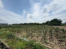 🔥善化南科最便宜 方正農地🔥 住商❤️田馨