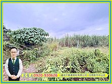 💎近玉井市區4.6分農地低價售